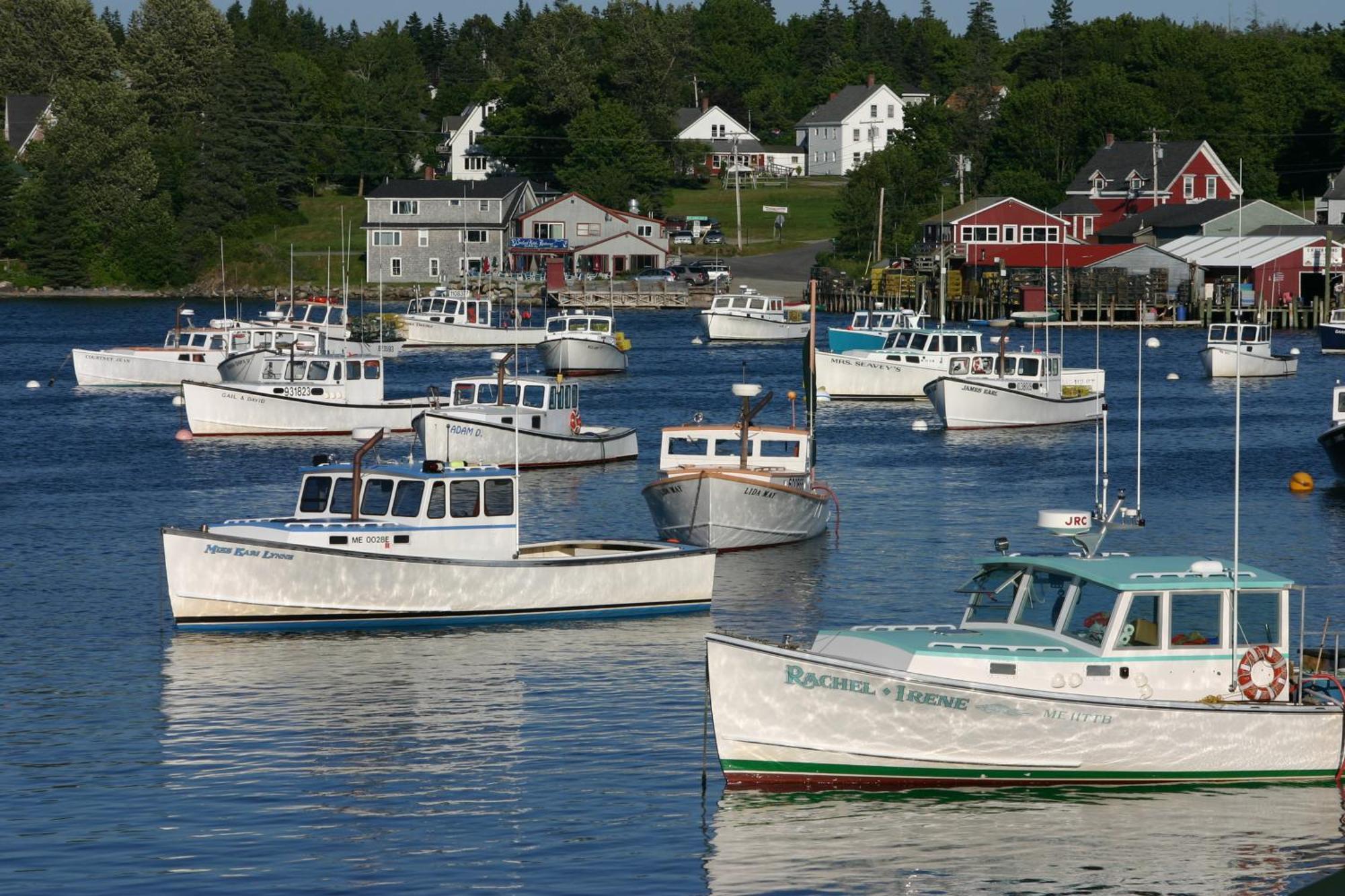 Bass Harbor Lighthouse Cabins Maine מראה חיצוני תמונה